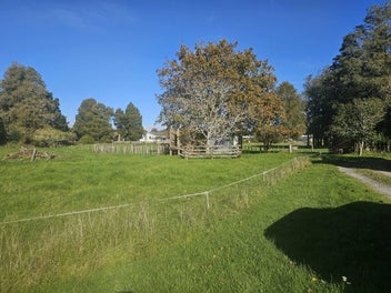 OWNER SAYS IT HAS TO GO - House and 20 acres - OFF