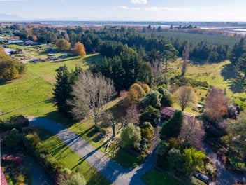 Kiwi quarter acre