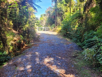 Image 1 of 16