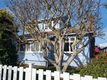 Image 1 of 17