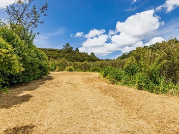 Motivated Vendor: 1.9 ha Riparian Rights