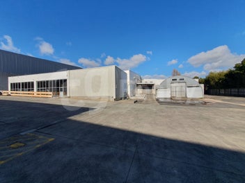Image 1 of 12