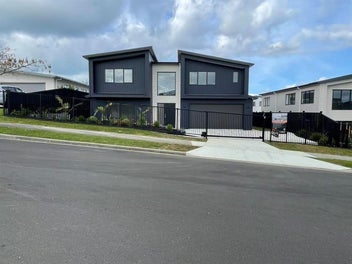 Image 1 of 46
