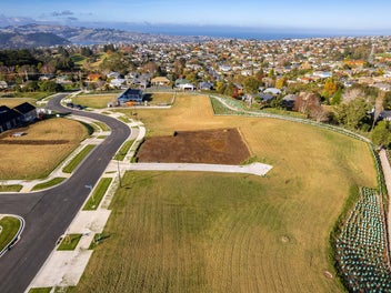 Duplex Potential