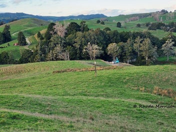 Vendor Meets Market - 17 Ha Close to Town