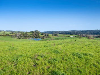 The Horizon of Opportunity: Anderson Road