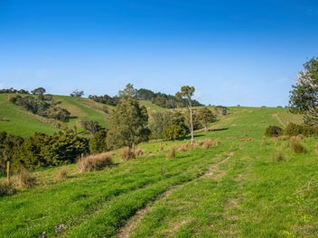 The High-Country Heart