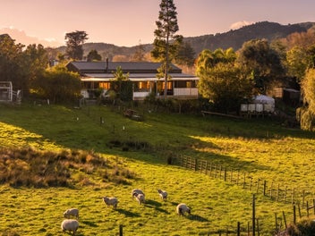 The Homestead
