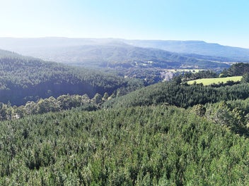 16 Hectare Lifestyle and Forestry Opportunity