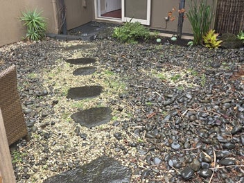 Image 1 of 24