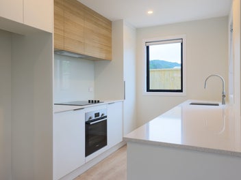 Last Opportunities 46 Wainuiomata
