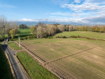 Image 1 of 12