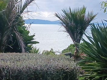 Image 1 of 12