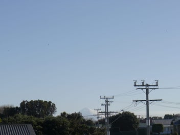 Seaview Section