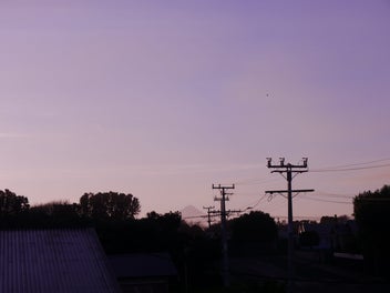 Image 1 of 41
