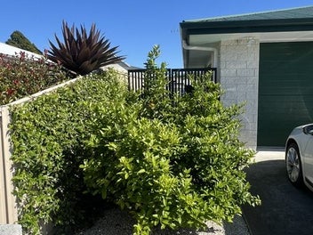 Easy, Convenient Coastal Living