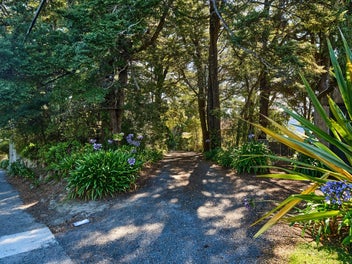 Build your dream in Silverstream