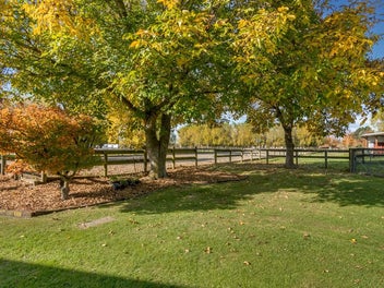 Equestrian Life - City Convenience