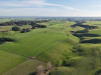 Image 1 of 20