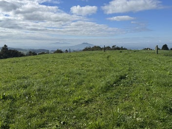 Pekanui Pearler