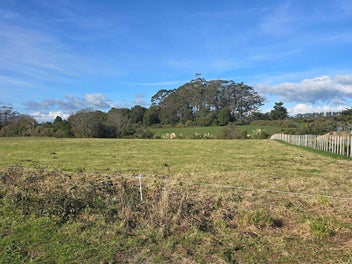 Image 1 of 8