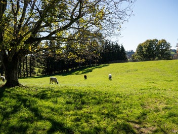 Prime 9 Hectare Opportunity!