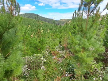 Image 1 of 6