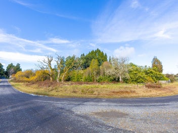 Blank Canvas Corner Site in Owhango