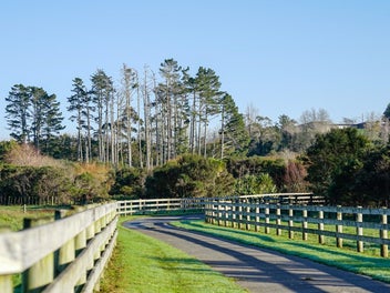 Premium Lifestyle Land Opportunity