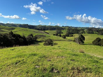 Image 1 of 12