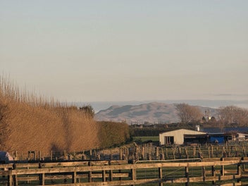 Image 1 of 14