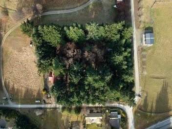 Dalefield Lifestyle Opportunity - As Is, Where Is