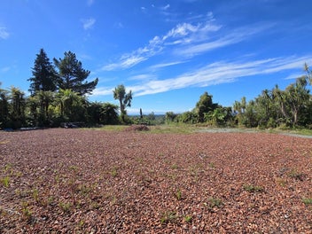 Image 1 of 9