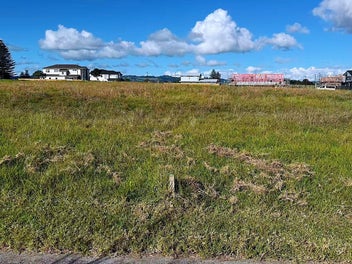 Image 1 of 1