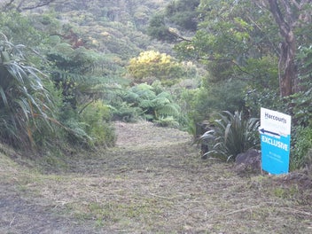 Image 1 of 13