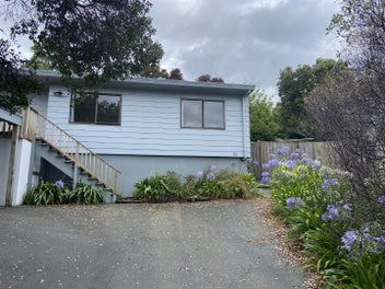 Image 1 of 16