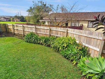 Image 1 of 20