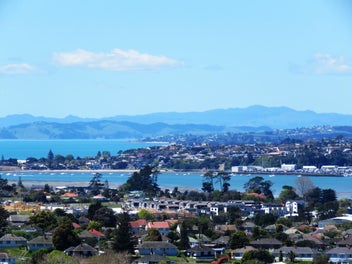 Image 1 of 16