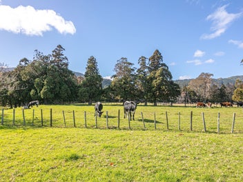 Image 1 of 20