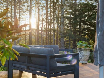 Sun, Space & Redwood Views