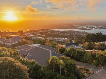 Panoramic Pinnacle