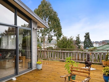 Quirky Kiwi Quarter Acre!