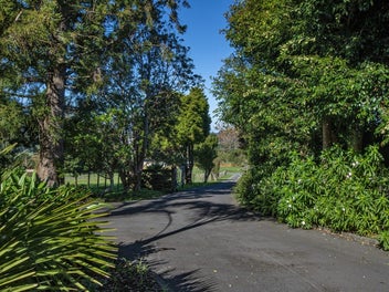Lifestyle Opportunity in Kauri