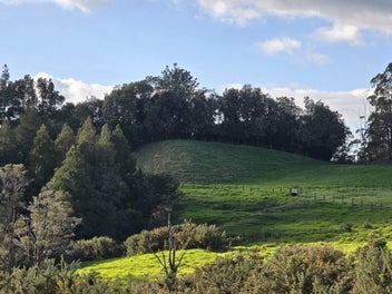 Two Rare Bare Hunua Blocks!