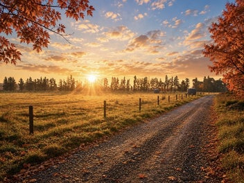 Autumn at Glenbrook