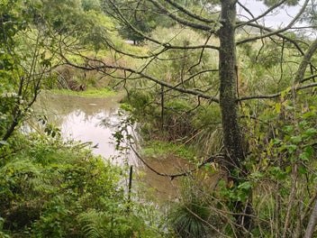 Waterfront Riparian Rights- 3.7 Acres