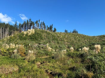 Image 1 of 9
