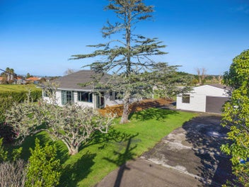 The Kiwi Dream