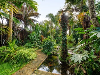 A Hidden Oasis with Space to Spare