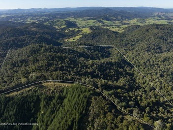 Peaceful, Private Bush Block with Expansive Views